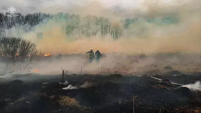 Гасіння пожеж
