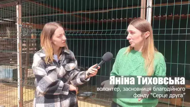 Волонтери радять стерилізувати собак та робити їм щеплення