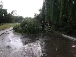 На Уманщині продовжують ліквідувати наслідки негоди