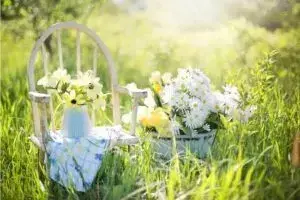 Різноманітні квіткові традиції у різних країнах