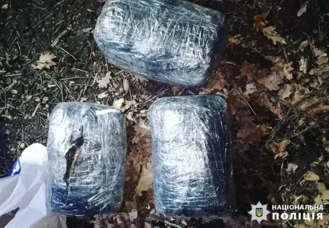 В Умані судитимуть місцевого жителя, який зберігав в себе 3 кг канабісу