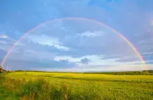 Прогноз погоди в Умані 6-8 листопада