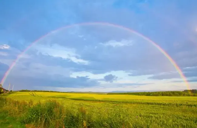 Прогноз погоди в Умані 6-8 листопада