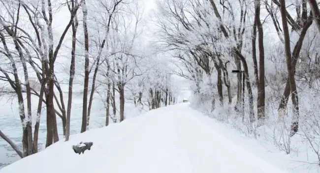 Прогноз погоди в Умані 18 та 19 січня