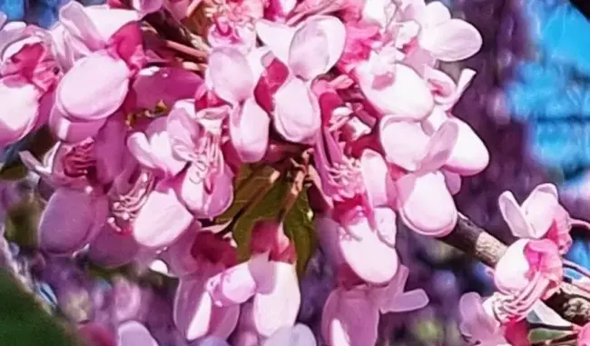 Прогноз погоди в Умані 23 та 24 березня
