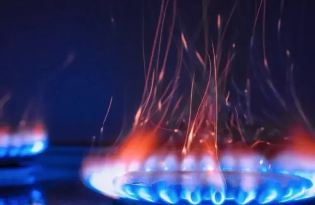 В Україні для споживачів ціна на газ залишиться незмінною ще рік