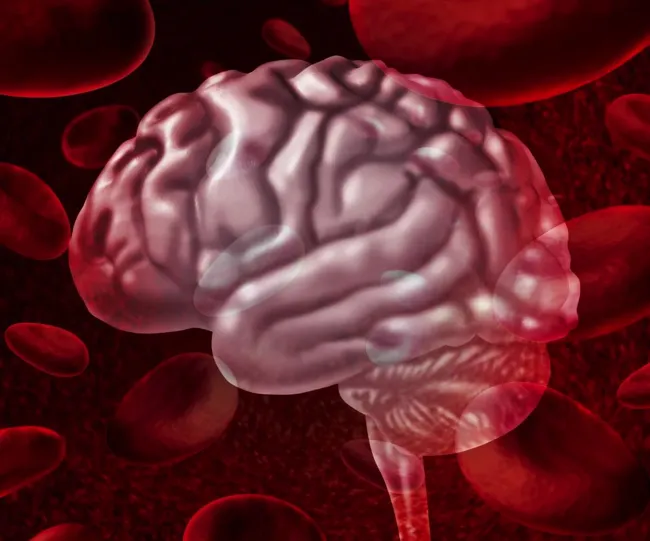 Біопсія: підтвердження діагнозу Біопсія: підтвердження діагнозу