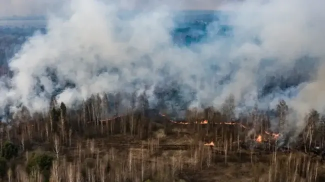 В Умані та області через засуху оголошено максимальний рівень пожежної небезпеки