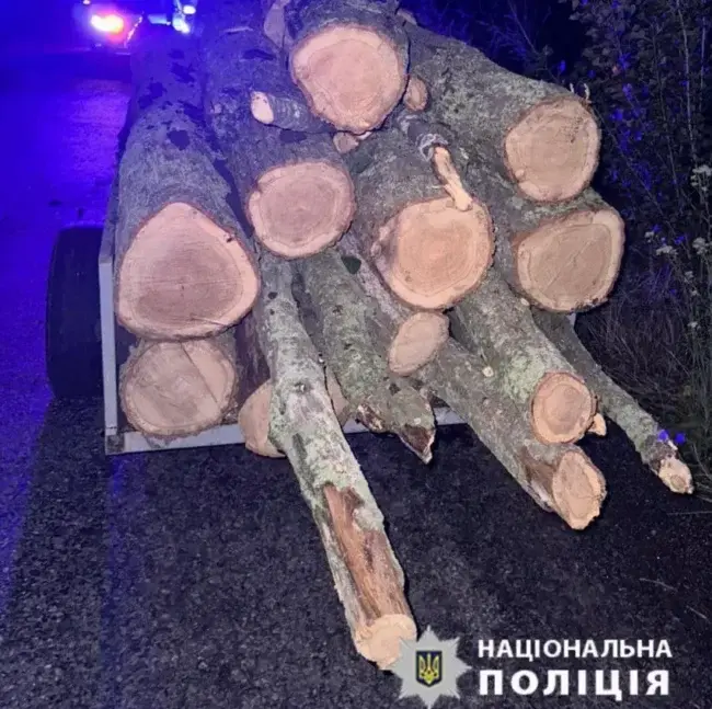 На Уманщині спіймали браконьєра, який "полював" на дерева