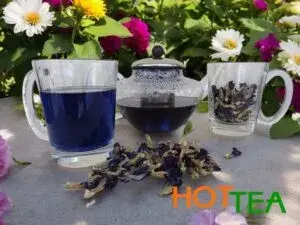 Таємниці тайського синього чаю: інтерв'ю з експертом HotTea