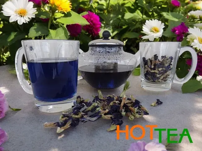 Таємниці тайського синього чаю: інтерв'ю з експертом HotTea
