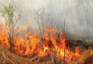 На Черкащині через спалювання сухостою загинула людина