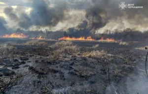 На Черкащині вогонь знищив понад 10 гектарів сухої рослинності