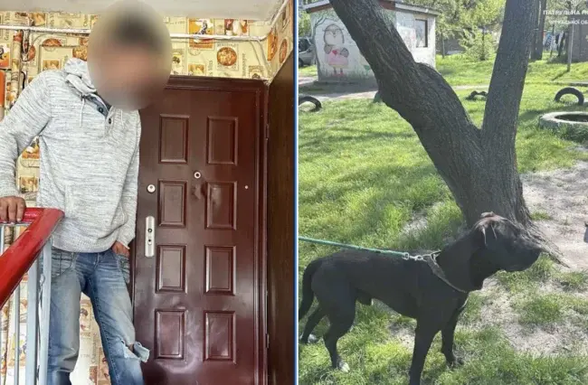 На Черкащині господаря покарали за жорстке поводження з собакою та порушення правил вигулу