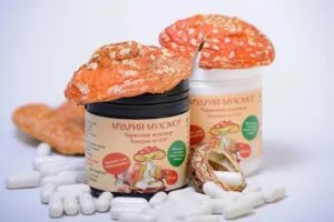 Как мухомор красный помогает бороться с тревогой, быстрой утомляемостью и бессонницей