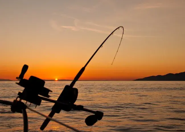 Карповий сезон наближається — чому я вибрав род-под у FishingROI.ua