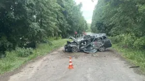 Смертельна ДТП біля Тарнави: водій не вижив після зіткнення з деревом