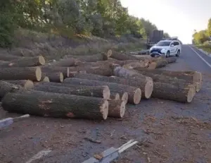 На Черкащині сталася ДТП як з "фільму жахів"