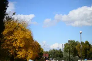 Прогноз погоди в Умані 16-19 вересня 2025