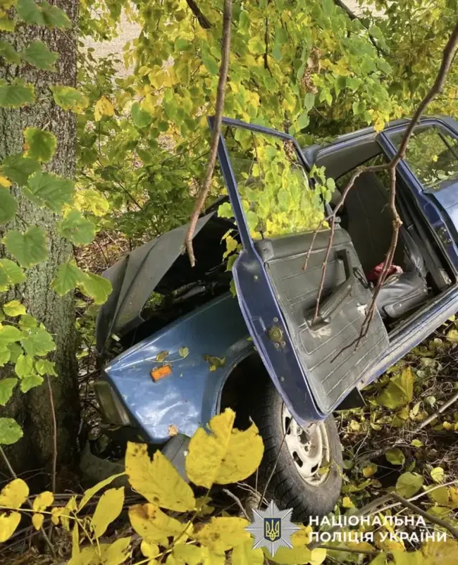 Смертельна ДТП на Уманщині: водій врізався у дерево й загинув (ФОТО)