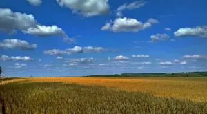 В Умані громаді повернули чотири земельні ділянки, які незаконно були відчужені ізраїльтянам: що відомо