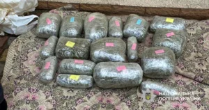 Наркоплантація з сонячними панелями й генераторами: на Черкащині викрили масштабне виробництво канабісу