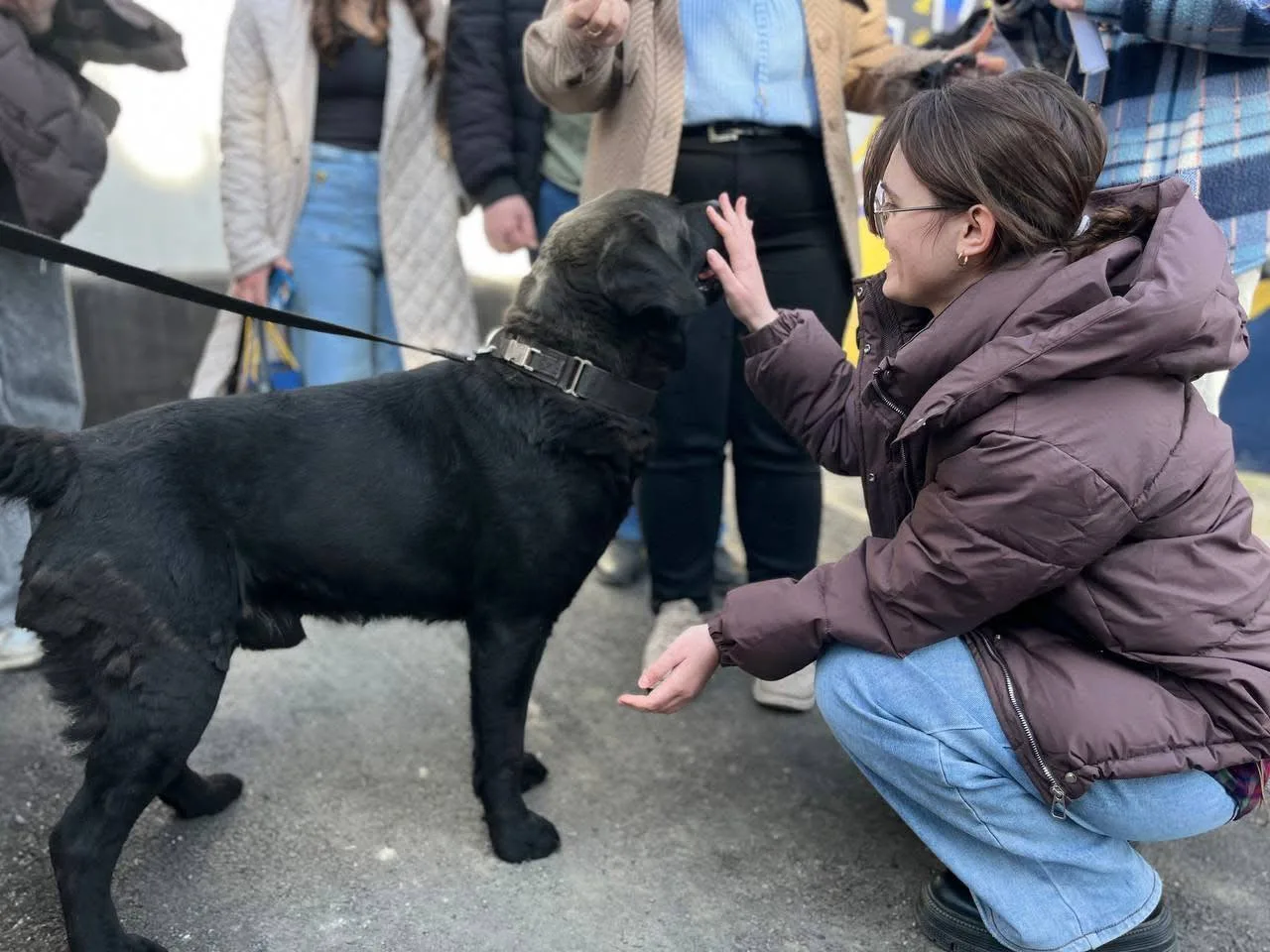 Як не стати жертвою нападу: в Умані навчили правильно поводитися з агресивними собаками