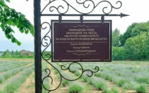 Де в Умані лавандове поле як в Провансі і як туди потрапити