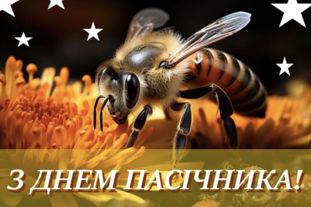 Привітання з Днем пасічника 2026: щирі слова для тих, хто дарує людям мед
