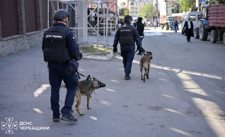 В Умані безпеку паломників забезпечують рятувальники собаками, які перевіряють територію на вибухівку