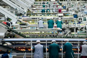 Як оцінити виробниче підприємство: активи, контракти, технології